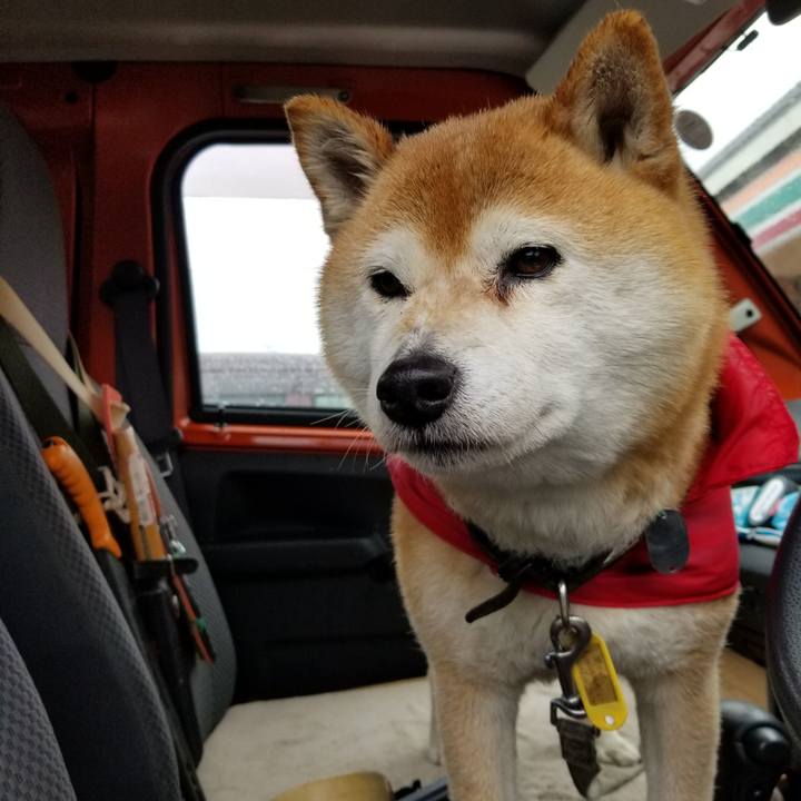 5593212f ed99 4103 b830 69fa93be0bc7 1619674096031