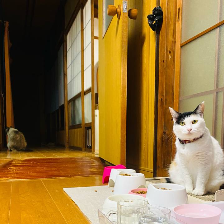 55936264 605c 4c66 8c31 416eecd58515 1661202886159