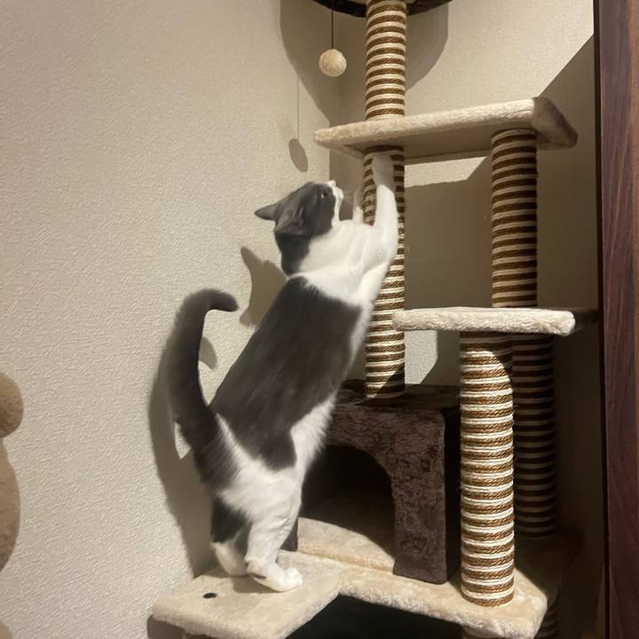 55936427 f5f0 41e4 acd9 bcea34e1667d 1673104662850