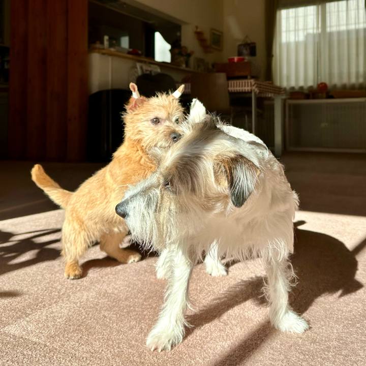 559373f3 6cba 4cfa a55a af5392773da8 1705233558326