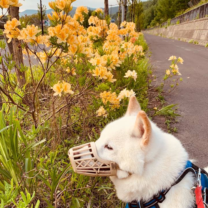 55938cf1 8de5 4ec6 8ec5 c918bc2320a3 1622581192647