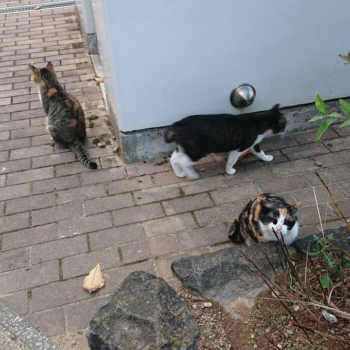 5593a439 1304 4035 af65 aa6272c9655c 1637828109543