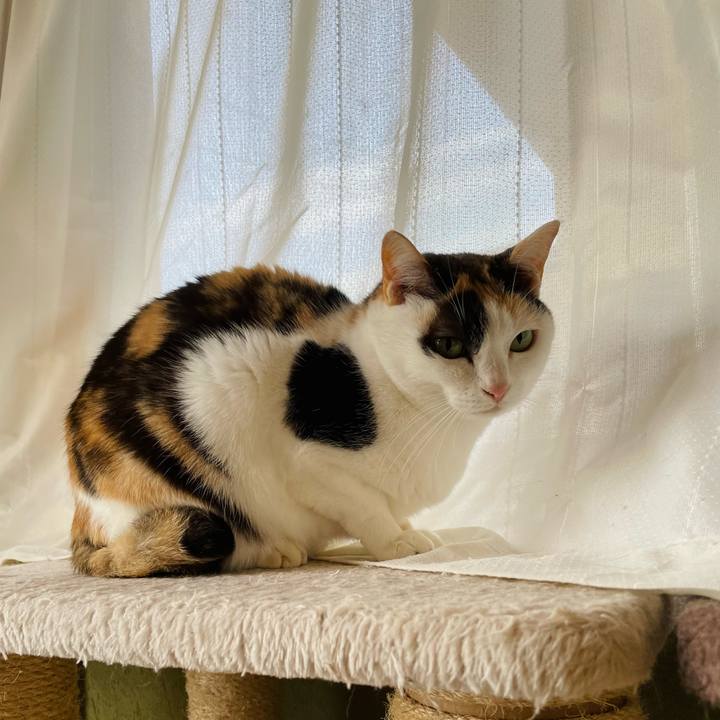 55941d49 75c0 4c94 a5c4 405f40b03076 1645582253405