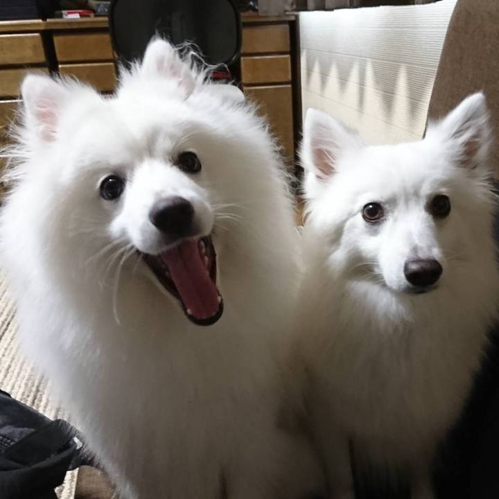 5594349b e547 459c 9f27 7ebb16f8daa7 1562478425075