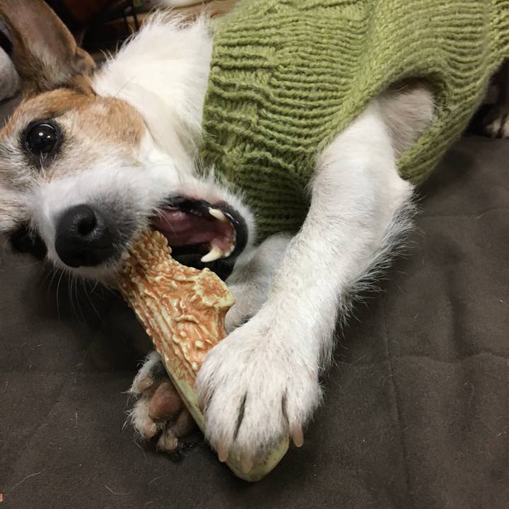 55945863 c666 49b7 b980 7f14cacde5d2 1609975305758