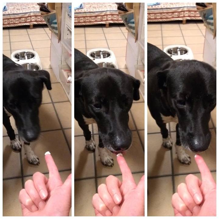 55946279 593b 4806 9724 4ed8fe965faf 1599176345688