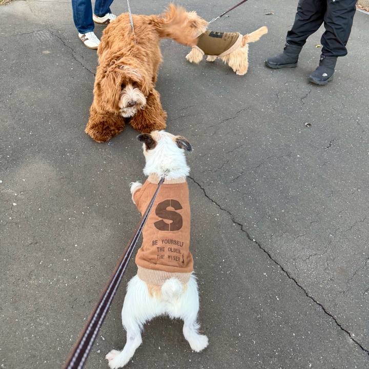 55948bd4 1487 4dc0 b5f2 0e3dbe6907e9 1768048881112