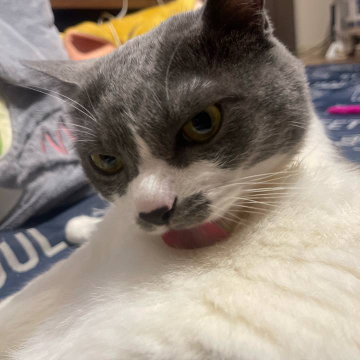 5594d86e e086 43ea 965a 999fd155972a 1748610951474