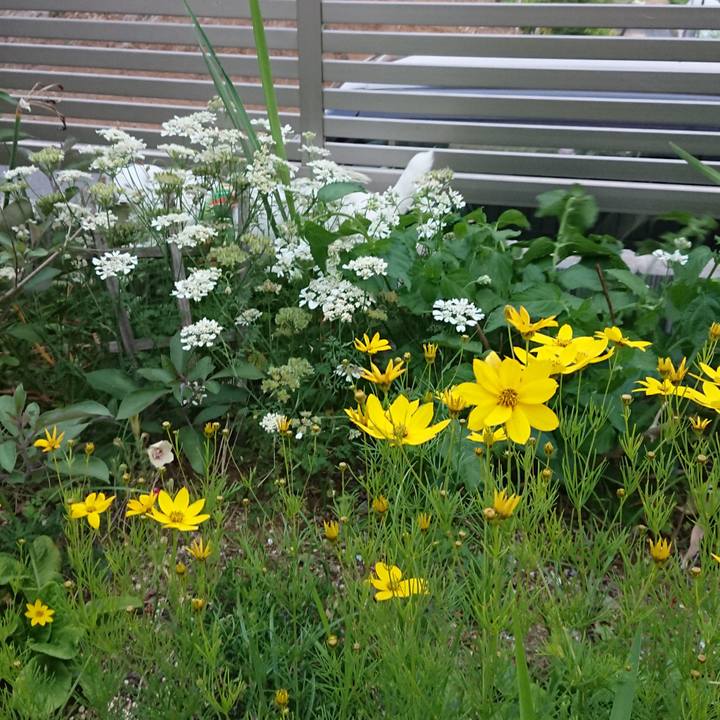 55950713 b384 49ee b41d c5c13490c381 1527637472395