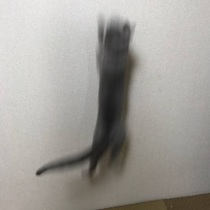 559518d8 e7cf 4c33 b53c 435af05e61af 1519656878565