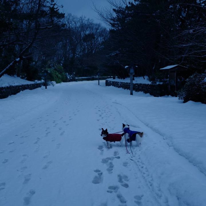 559544bf f48f 486d bc9b cfc6ea5bf1fd 1517459547772