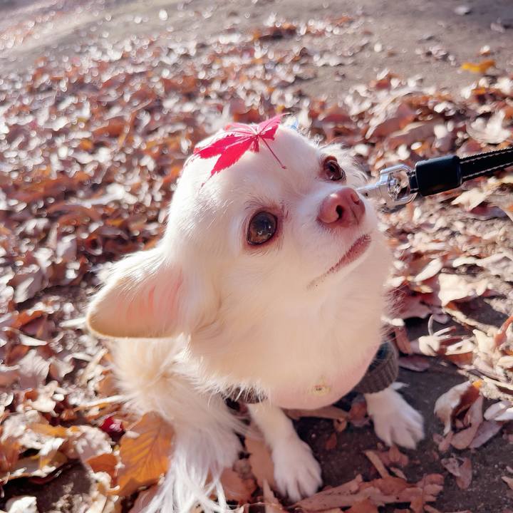 55955f97 5d9a 4d82 b735 b2203b3b48d0 1702272851724