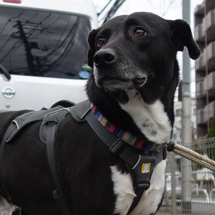 55958a72 486f 4704 85b1 0fe35c64371a 1647824866106