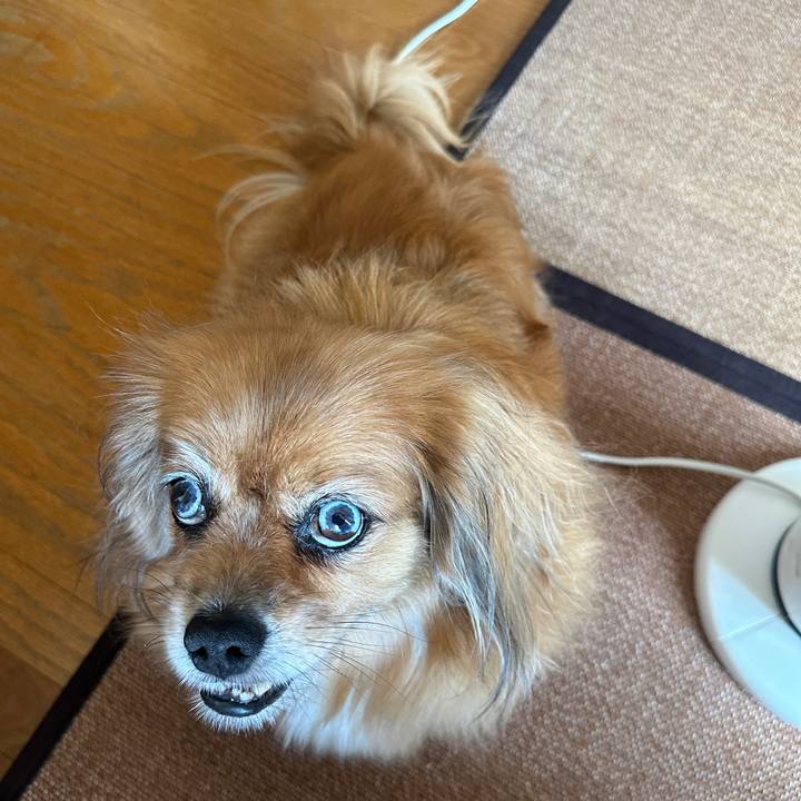 5595cf40 351d 4a58 8d13 bf5f9d26487d 1755387095192