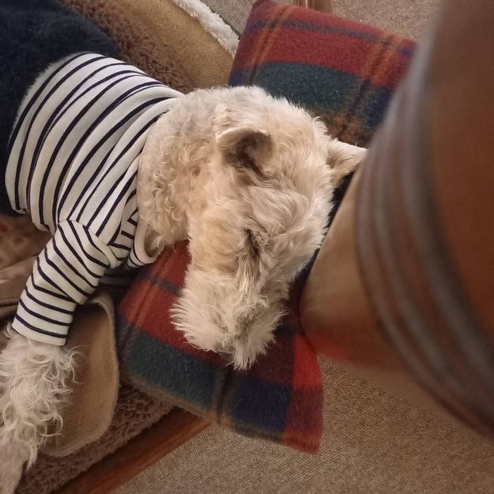 5595ffd2 b10b 415b aedb 01cc71ae5cee 1640612826227