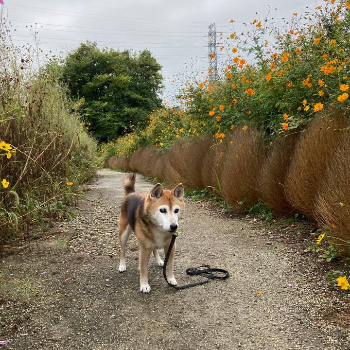 55961c04 bd3e 4dba 9abc 42ec9d1b339e 1760947538016