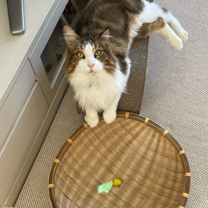 559623e3 a0da 4f53 bee3 cfdfbc540280 1663107096778