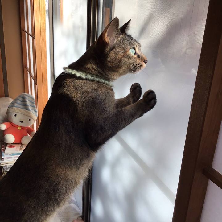 55963954 5efd 41ec 8e3b cf4a864b3f6d 1644976606640