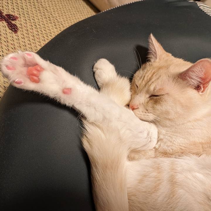 55966387 6625 46dc 8898 ebe6cbee6a0c 1695205707490