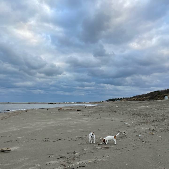 55966af4 783d 4efc 9a8a 9e72d20e6be6 1638662950198