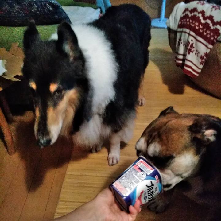 55967fdd e1a1 435a ad01 3f425894c54b 1535036533633