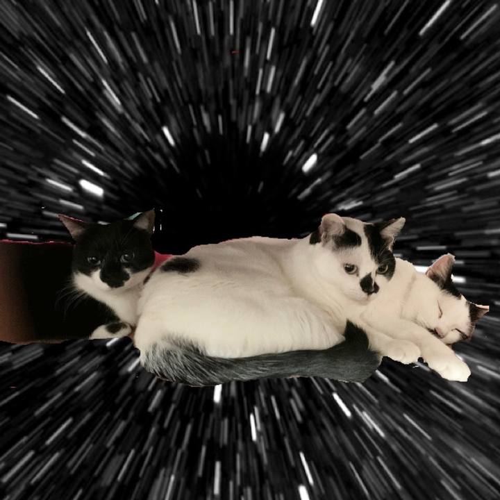 55968028 4eb4 468a 9a9d 3cea6321f30f 1573601124593