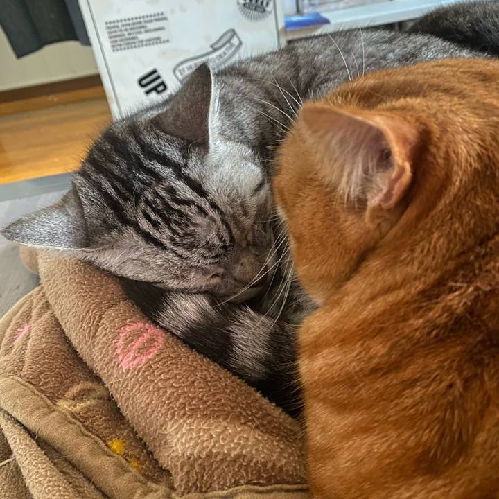 55968de0 a362 42dc af9c 60c0591bc767 1652131307227