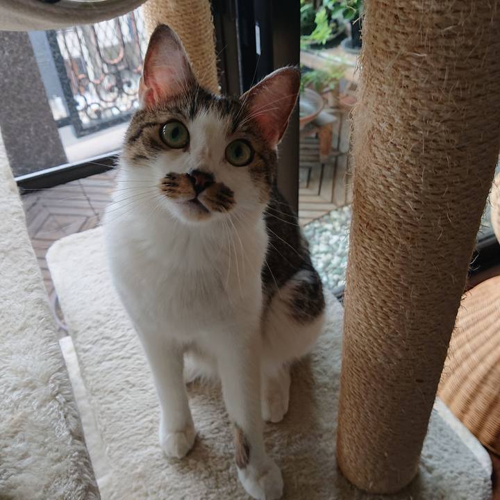 55969069 8d8a 4e13 ae8e d45472e1cb2f 1600213993165