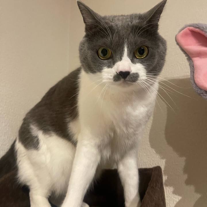 55969939 b51d 48b9 aa6f 51ef1b803525 1733918669294