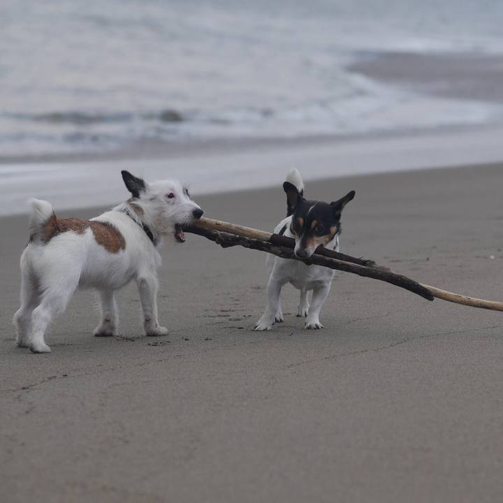 5596be08 319a 4da5 b202 f4c5934d38b8 1576643450772