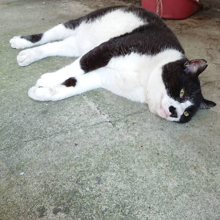 5596be0d 4929 4e79 8c0c ebaab7df2453 1627087083234