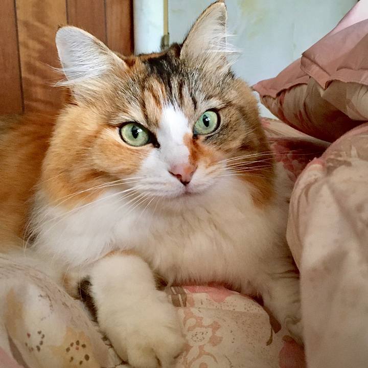 5596be77 217d 44be be38 68a348be84c5 1578384458178