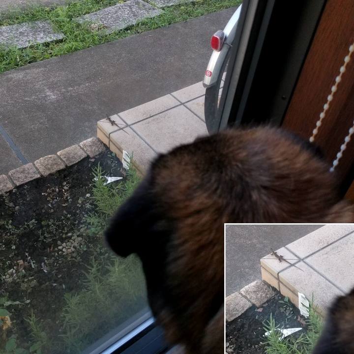 5596bfa1 9fa2 49a0 985a 6f8a27f97371 1532856402969