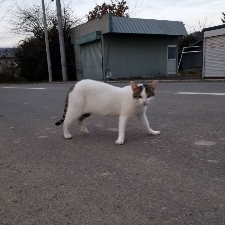 5596c0ad 4aa0 4b86 bec1 02604e981c87 1605448396440