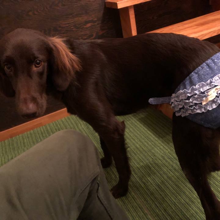 5596cd9b 9493 40e2 b52a 9aade8d82188 1573984900805