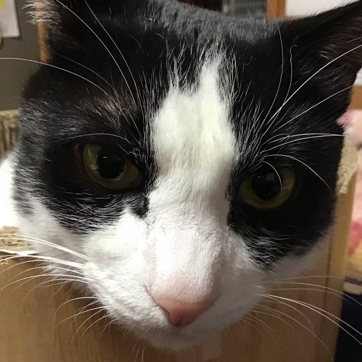 5596d7eb 0997 4c22 a4b5 c8c17a17d79b 1735031247830