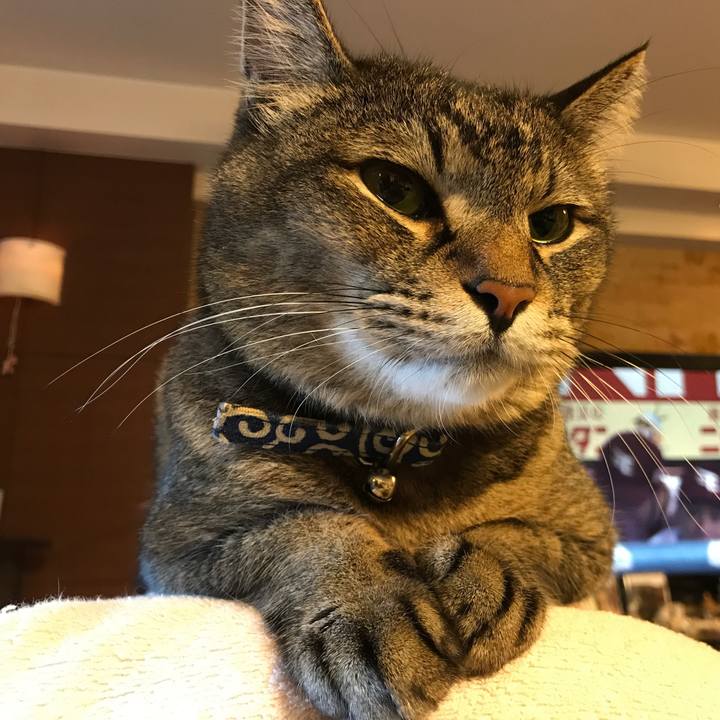 55970d1f daaf 4961 adc7 81efb6ff84b2 1568044786823