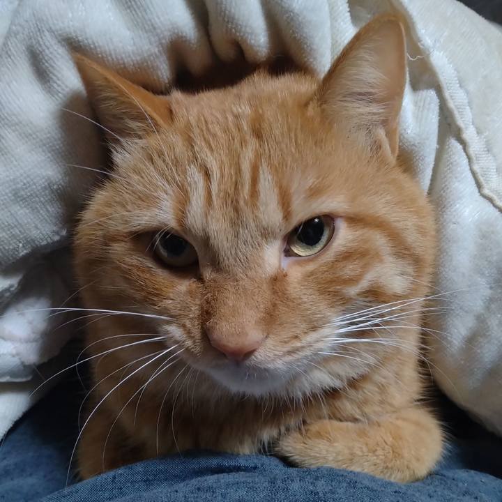 55973d49 5959 4f05 a368 3060742fae01 1703245827414