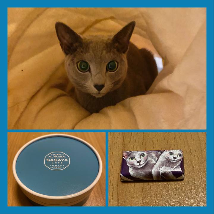 55974daa bed2 494f bfb5 820f178ad40d 1641635811048