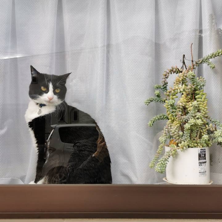 5597621f 53c0 4852 96c8 accf4c692430 1638242407927