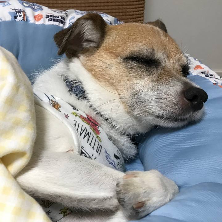 559786af 203c 4150 9961 efde7367ee88 1596119419510