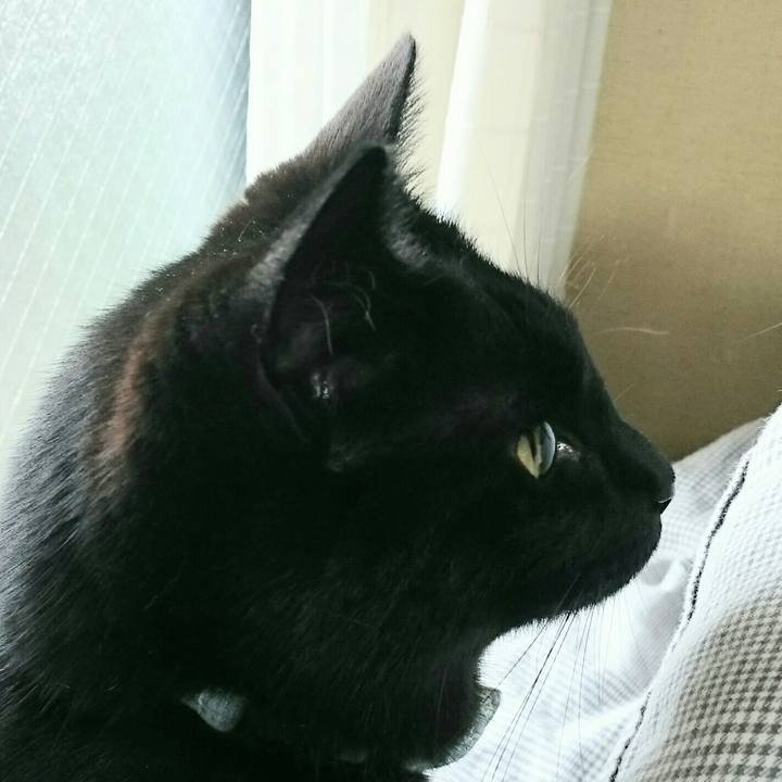 55978f42 408a 47d0 94f4 0379689dd19f 1522626120201