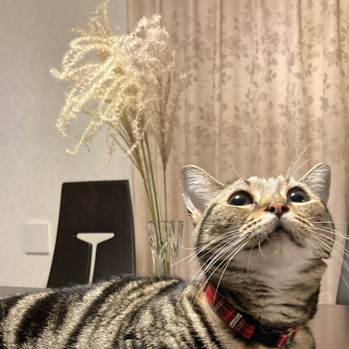 5597932c 6034 4300 ac6d 2b988e2e673e 1632291446616