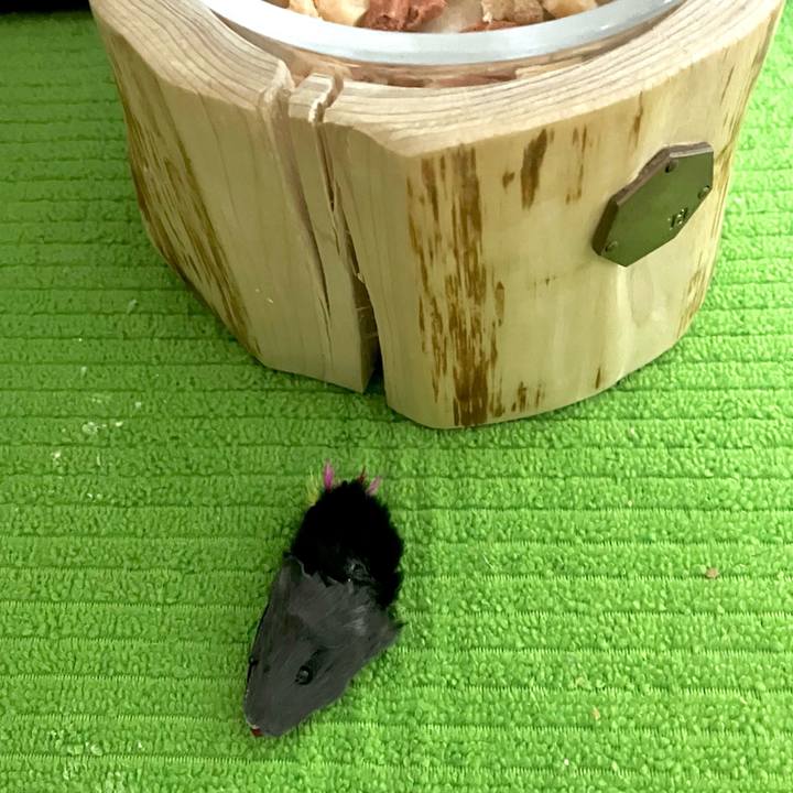 55979a5b 41b1 4002 b79e 6915154a0b38 1700228933954