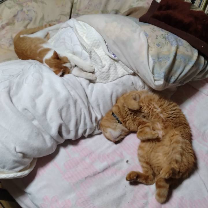 5597d19c b607 4931 86a2 a09d0513399e 1730375987173