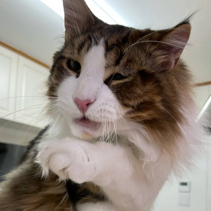 5598056c 4c9f 4d5d 82d3 1bb84357c3d0 1645098738117