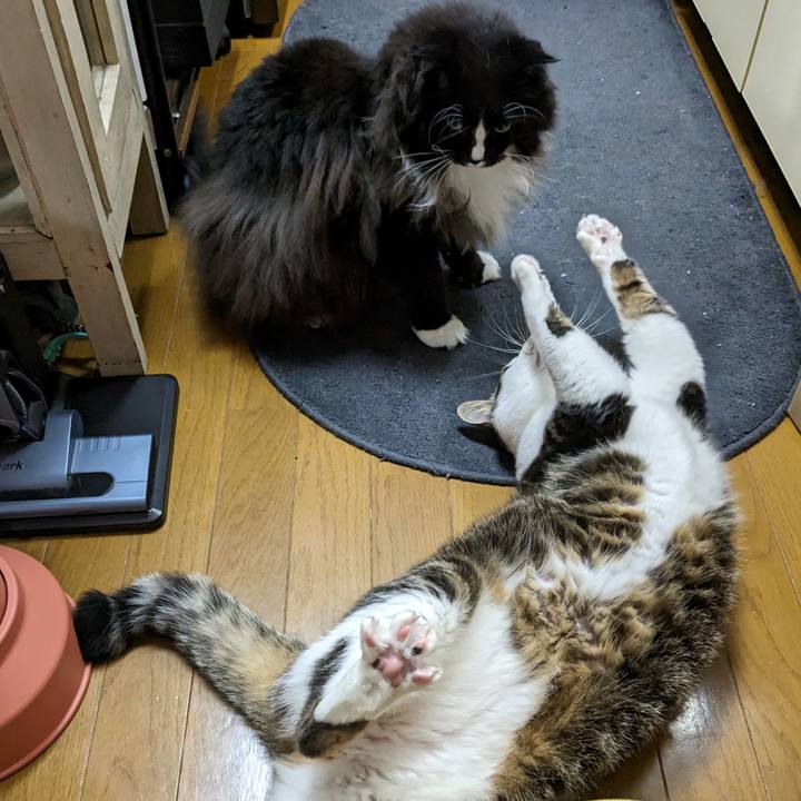 55980ccd 7a71 48a2 a5b9 7746e878a867 1670794813671