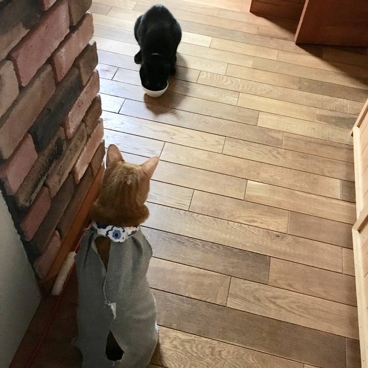 5598352d 6b03 4a75 8ec6 cd41b5a26cf0 1530759463712