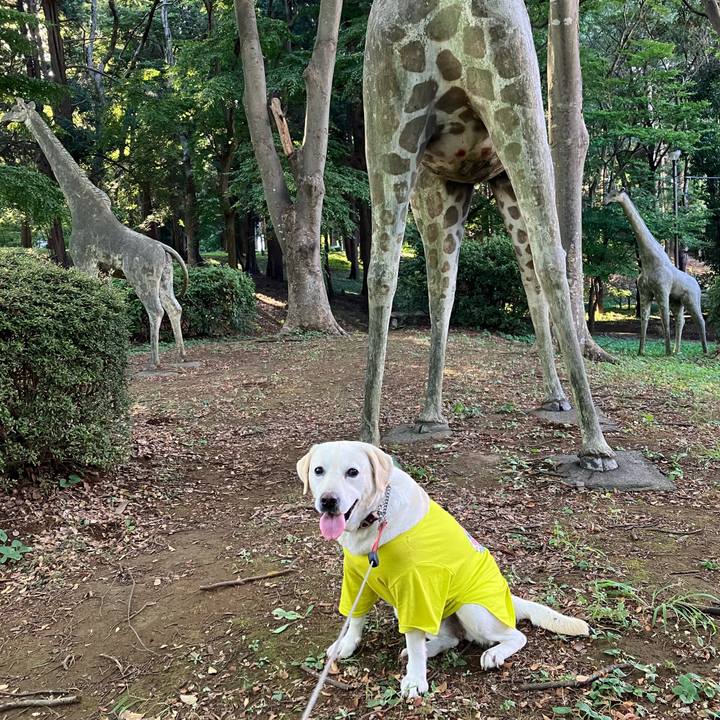 5598772b 8db5 48f8 9c61 7a01e3a1b968 1691461381762