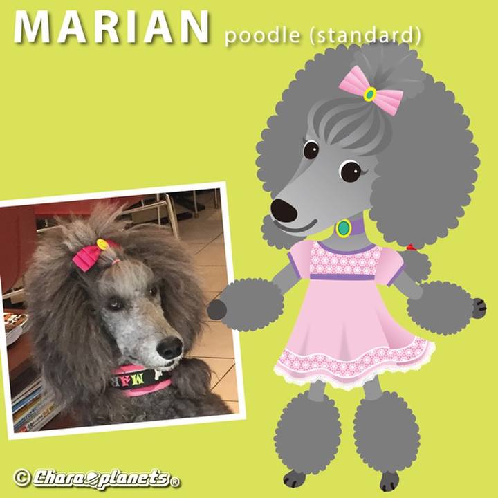 55987dd3 d094 4653 aab3 845f2b24090e 1560739607045